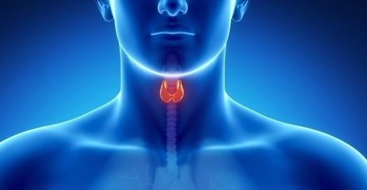 щитовидная железа, признаки заболевания