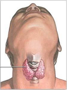 гипофункция щитовидной железы 