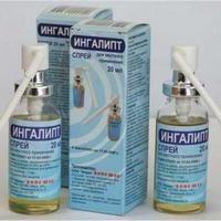 ингалипт состав