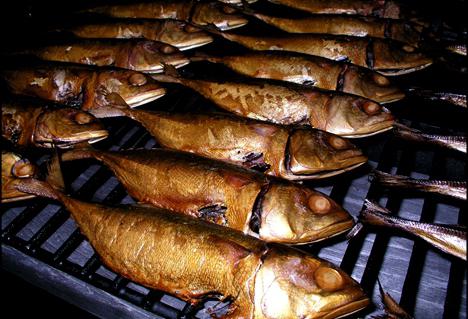 какую можно коптить рыбу