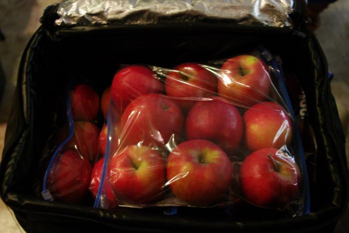 Как хранить яблоки зимой