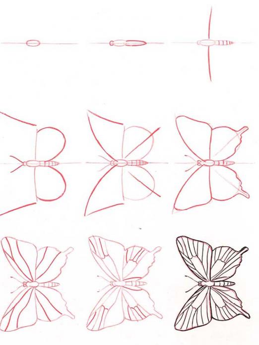 как нарисовать бабочку карандашом поэтапно 