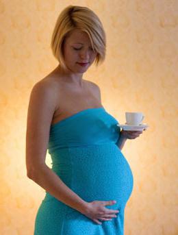 цикорий при беременности