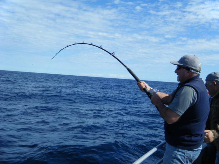 как ловить рыбу на море 