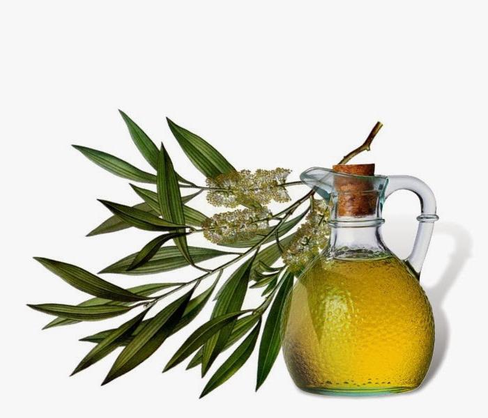 Эфирное масло чайного дерева: свойства, применение, отзывы :: SYL