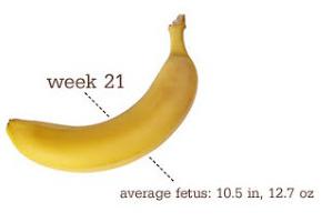21 неделя беременности размер плода