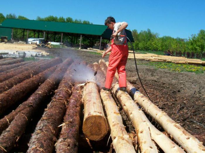 начало строительства каркасного дома