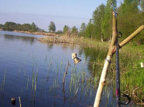 Ловля рыбы на резинку