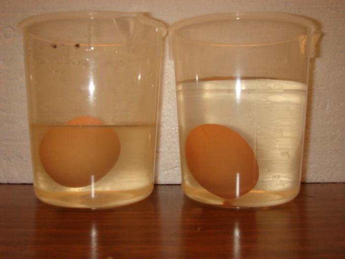 как проверить свежесть куриных яиц
