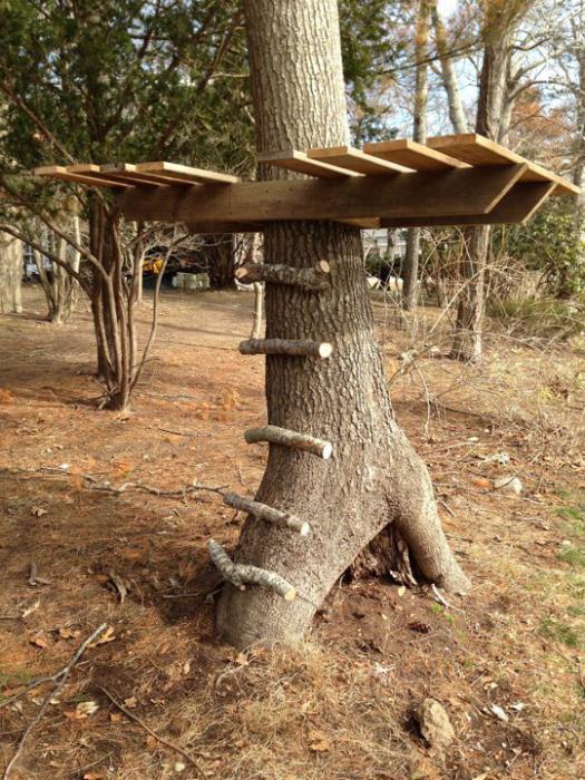 как построить шалаш на дереве