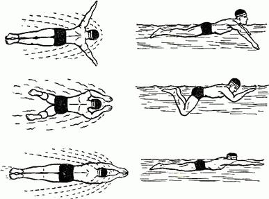 техника брасса пошагово