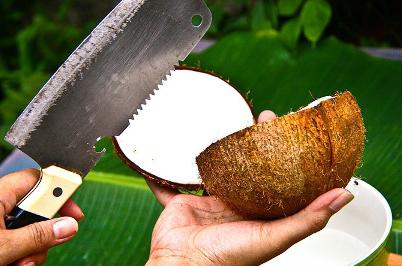как разбить кокос без молотка