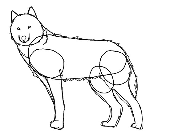 Как нарисовать морду волка