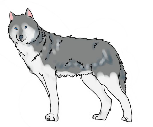 Как разукрасить волка
