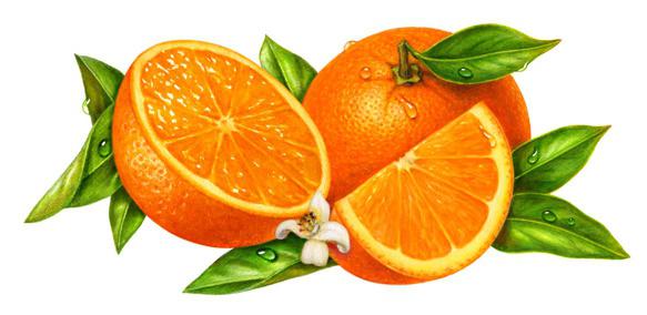 апельсиновое варенье 