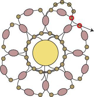 схемы плетения цветов из бисера 