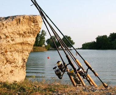 Удочки для рыбалки