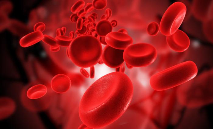 Как повысить тромбоциты в крови