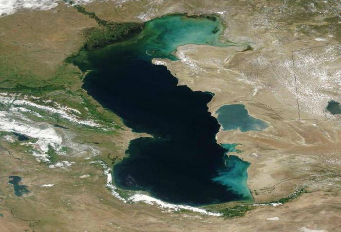 Отдых на Каспийском море отзывы