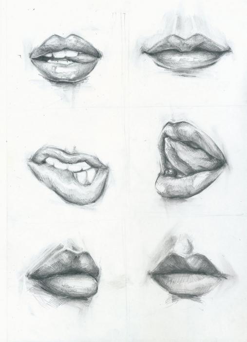 как поэтапно нарисовать губы карандашом