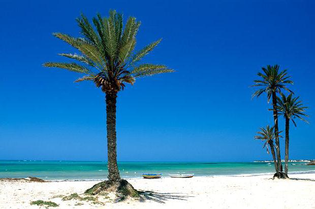 тунис какой курорт выбрать