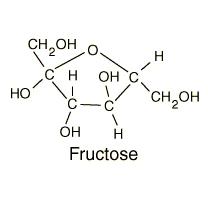 фруктоза польза и вред