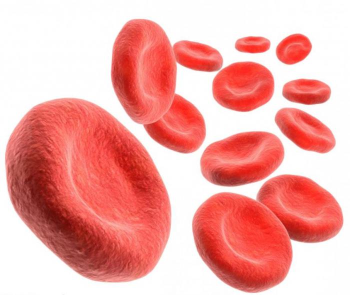 норма гемоглобина в крови