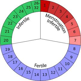 кадендарный метод предохранения от нежелательной беременности таблица