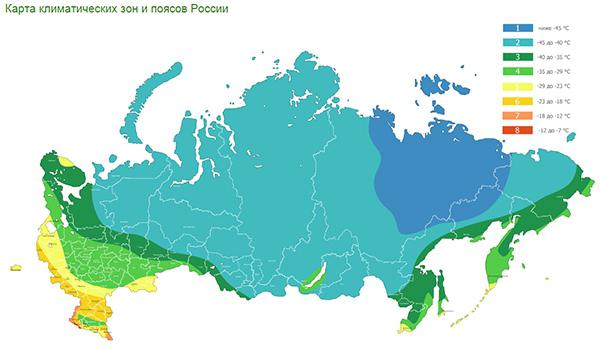 климатические зоны россии 6 9
