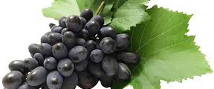 сколько калорий в винограде черном