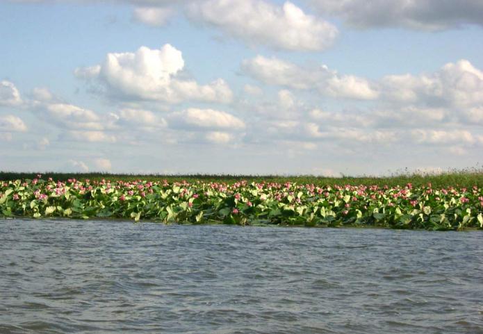 Каспийское море отдых Астрахань