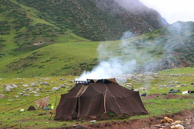 какую палатку лучше выбрать