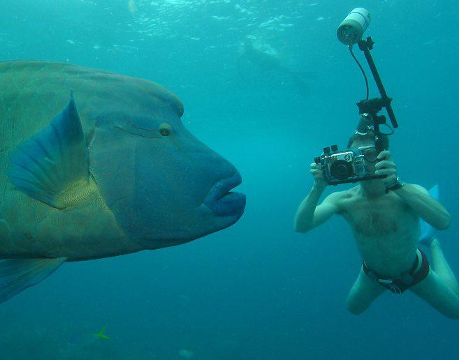 водонепроницаемые фотоаппараты для подводной съемки