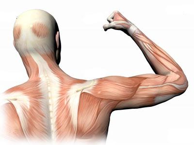 атрофия мышц причины