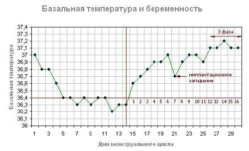 график овуляции расшифровка