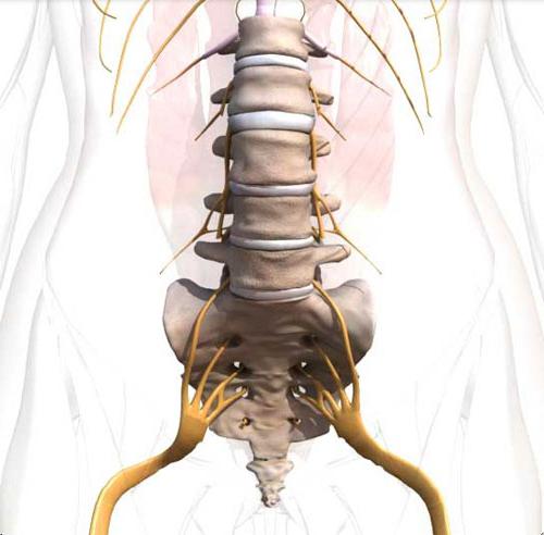 пояснично крестцовый остеохондроз 