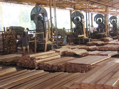развитие деревообрабатывающей промышленности