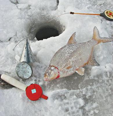 Зимняя ловля леща на коромысло