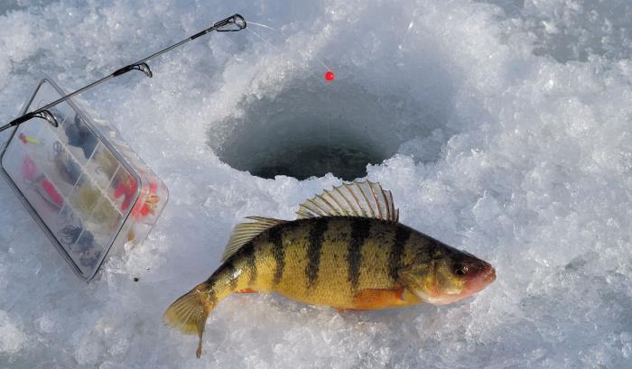 зимняя рыбалка на окуня снасти