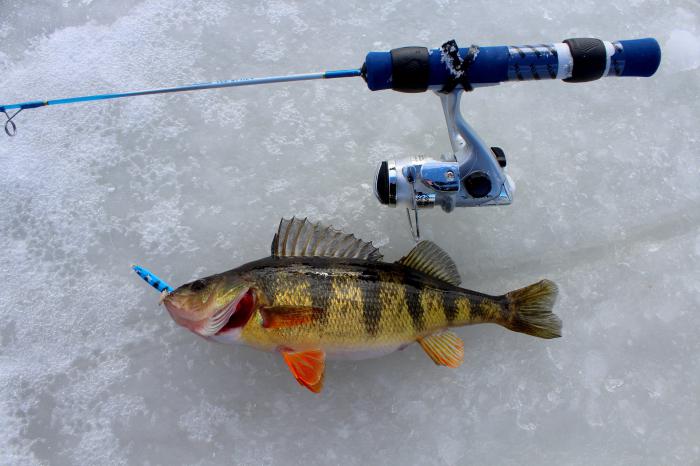 зимняя рыбалка на течении снасти