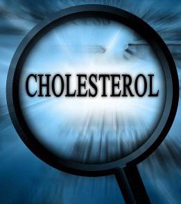 что такое холестерин 
