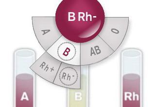 анализ крови на резус фактор