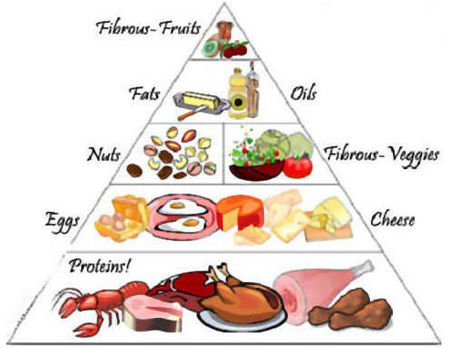 белковая пища список продуктов