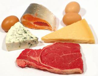 белковая пища это какие продукты?