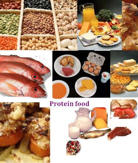 белковая пища для похудения список