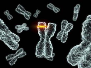 генные и хромосомные мутации