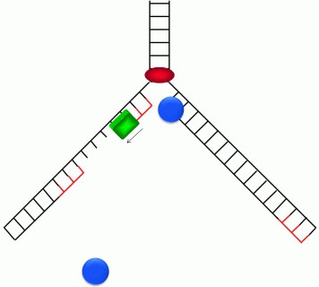 Непрерывный синтез на одной цепи и создание фрагментов О'Казаки - на другой