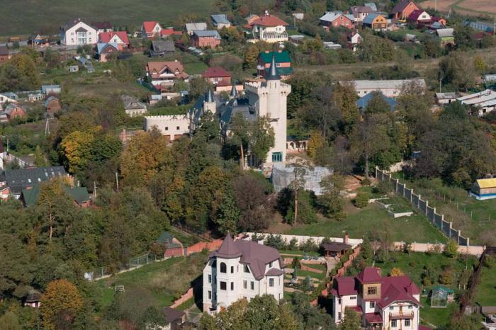 дети максима галкина