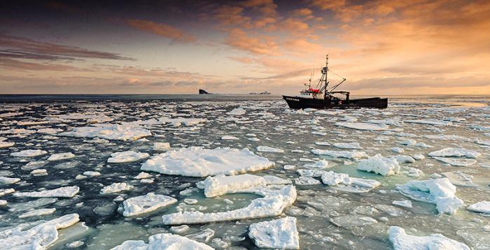 Самое большое по площади море.