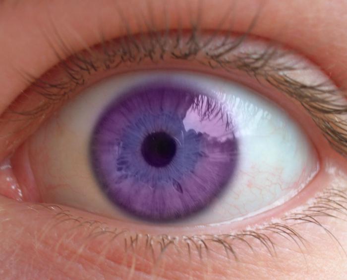 Самый редкий цвет глаз - фиолетовый